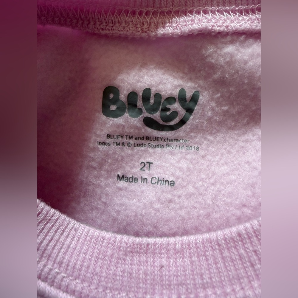 Bluey 2T Matching Set - Picture 5 of 6